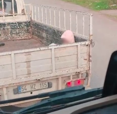 soguk-havada-yurek-sizlatan-yolculuk-lWLwajd8.jpg