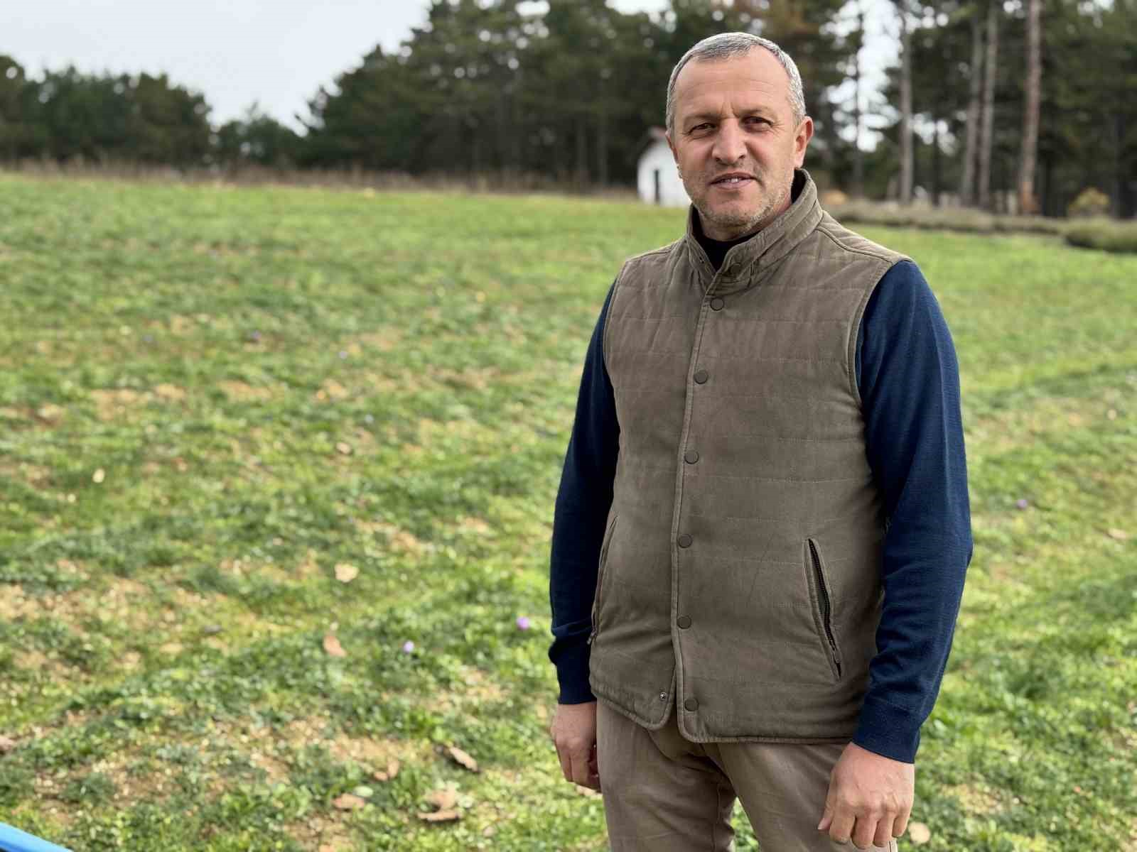 Soğuk ve yağışlı hava ‘dünyanın en pahalı baharatı’nda hasat süresini uzattı 8 soguk ve yagisli hava dunyanin en pahali baharatinda hasat suresini uzatti 4 sz15iitJ