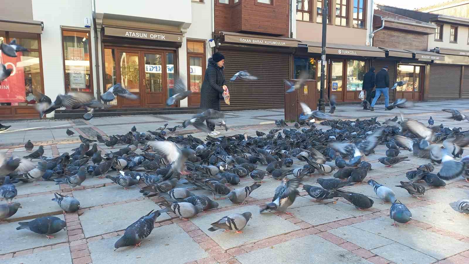 sogukta usuyen kuslar icin 5 kilometrelik sefkat yolculugu 3 v891SsU1