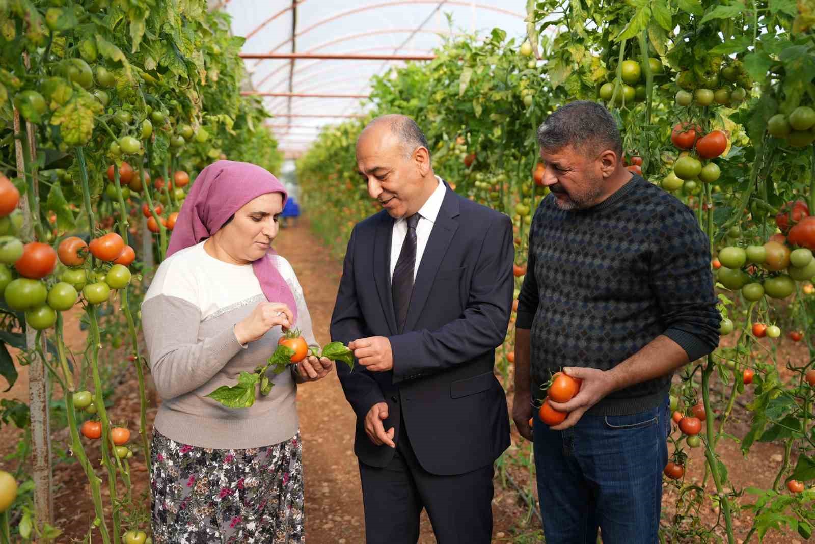 sok marketlerde yeni donem meyve sebzede pestisit kontrol sureci bir adim ileri tasindi 2 eHjjqVEI