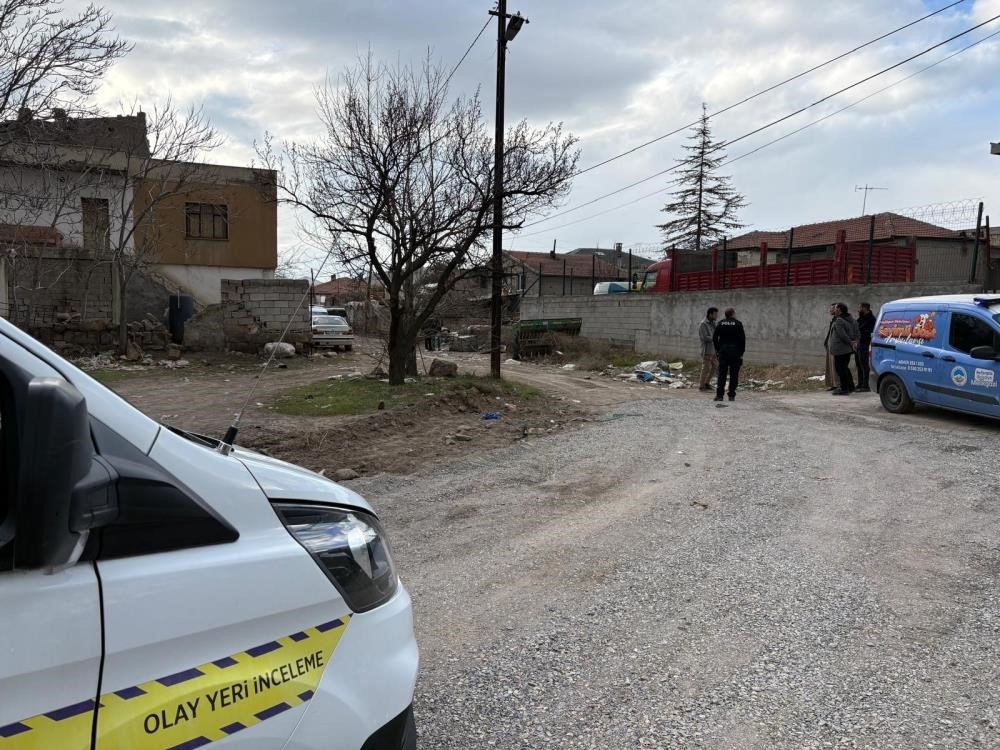 sokak hayvanlari saldirisinda buyuksehir belediyeleri ve valilikler de sorumlu 2 yLaNhLDD