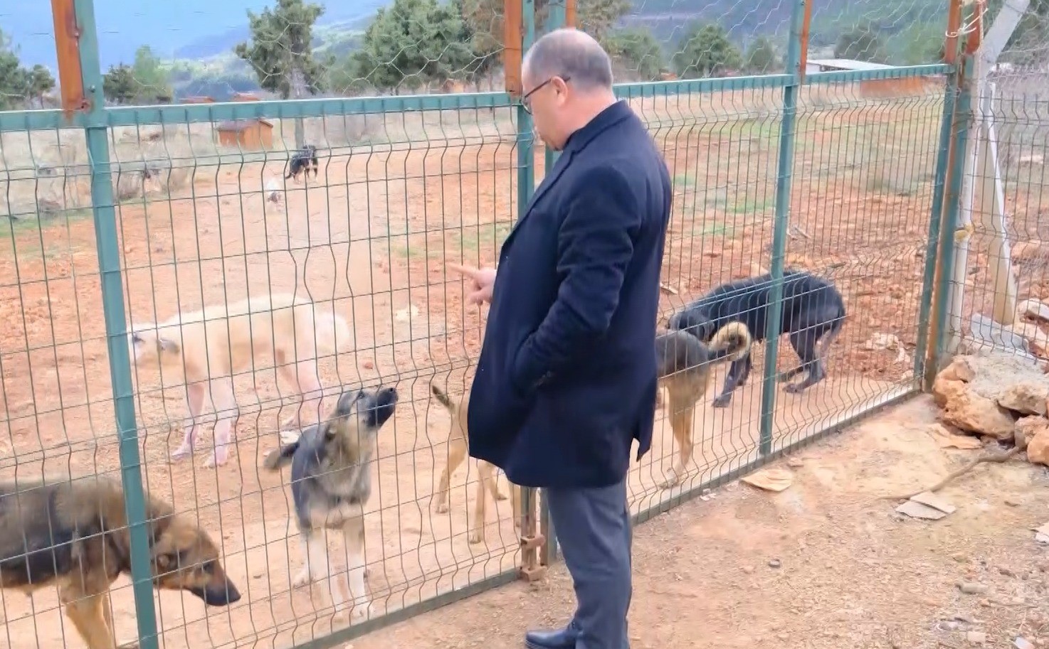 sokak hayvanlari sicak yuvaya kavustu 1 gVjZlsQB