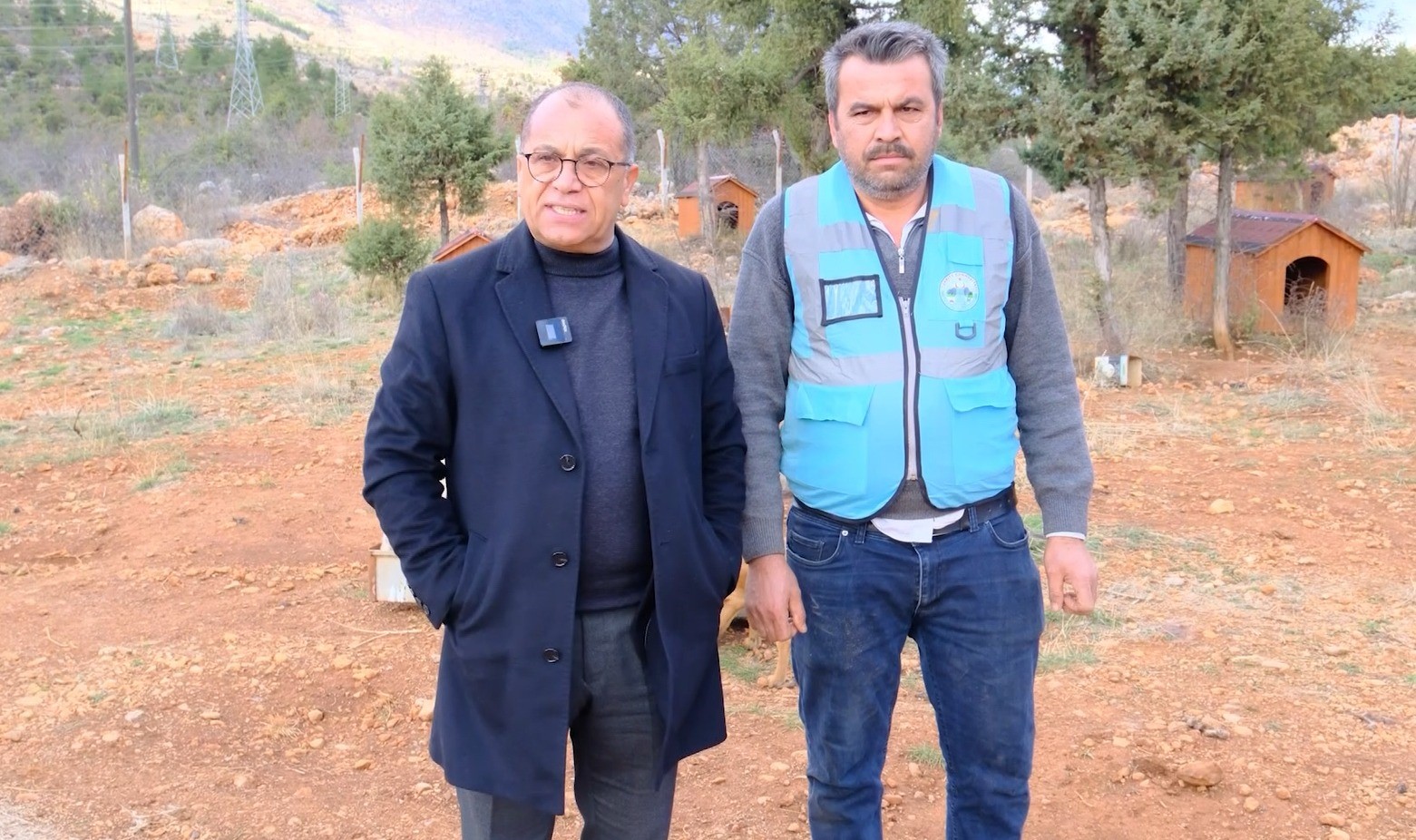 sokak hayvanlari sicak yuvaya kavustu 2 4aWcJSgz