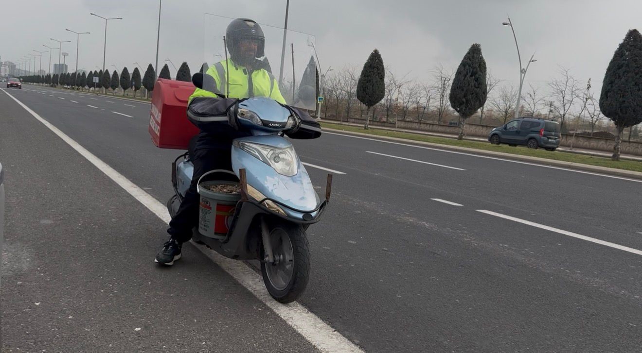 sokak hayvanlarinin sessiz kahramani 5 9jjZyrJi
