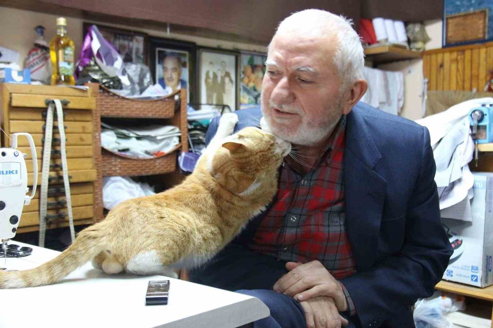sokak kedilerinin dedesi yillardir kimsesiz kedilere sicak yuva oluyor 5 EKuPKcHp