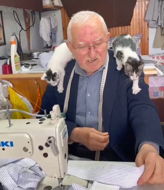 sokak kedilerinin dedesi yillardir kimsesiz kedilere sicak yuva oluyor 7 HdivRHt1