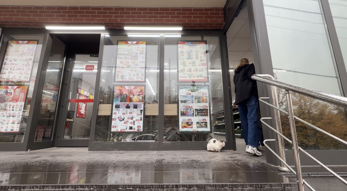 sokak kedilerinin market mesaisi 2 pXjmyIsF