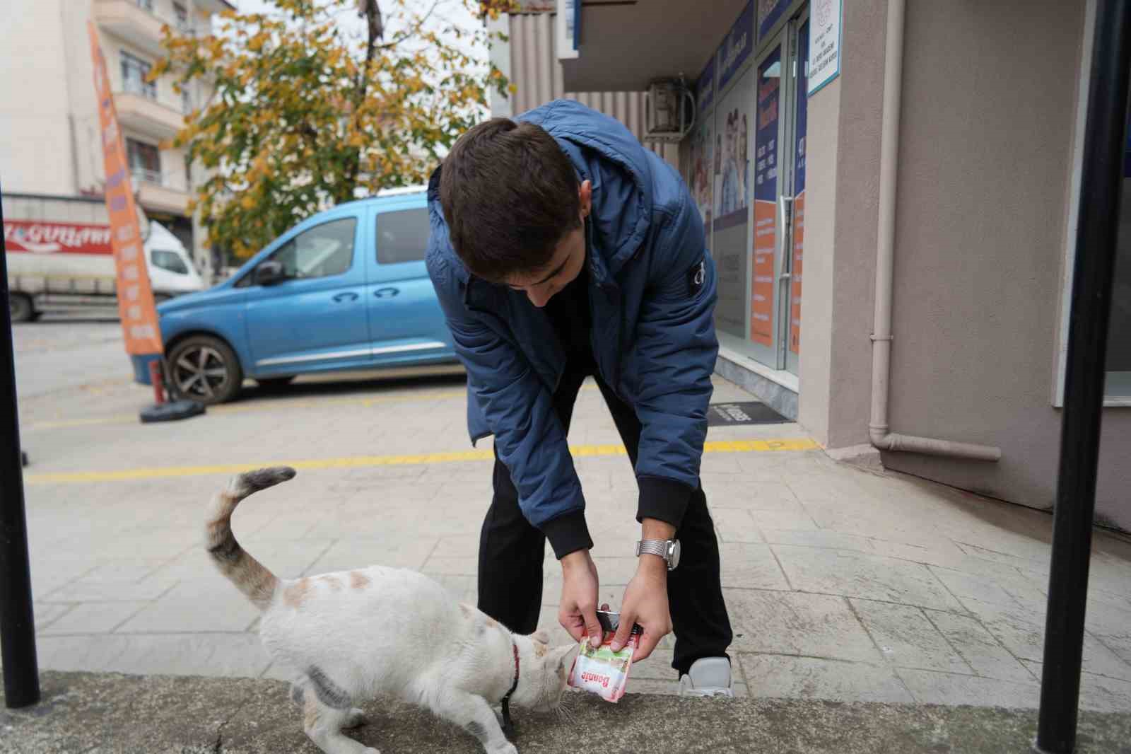 sokak kedilerinin market mesaisi 6 UPk336kr