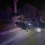 sokak-kopeginden-kacmak-isteyen-otomobil-agaca-carpti-1i-agir-2-yarali-i3dC1FAW.jpg