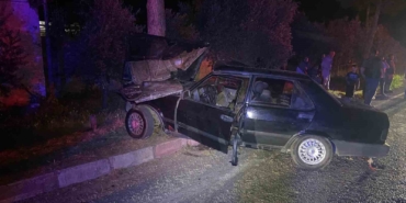 sokak-kopeginden-kacmak-isteyen-otomobil-agaca-carpti-1i-agir-2-yarali-i3dC1FAW.jpg
