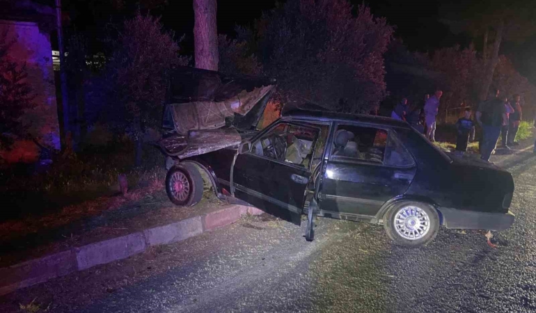 sokak-kopeginden-kacmak-isteyen-otomobil-agaca-carpti-1i-agir-2-yarali-i3dC1FAW.jpg
