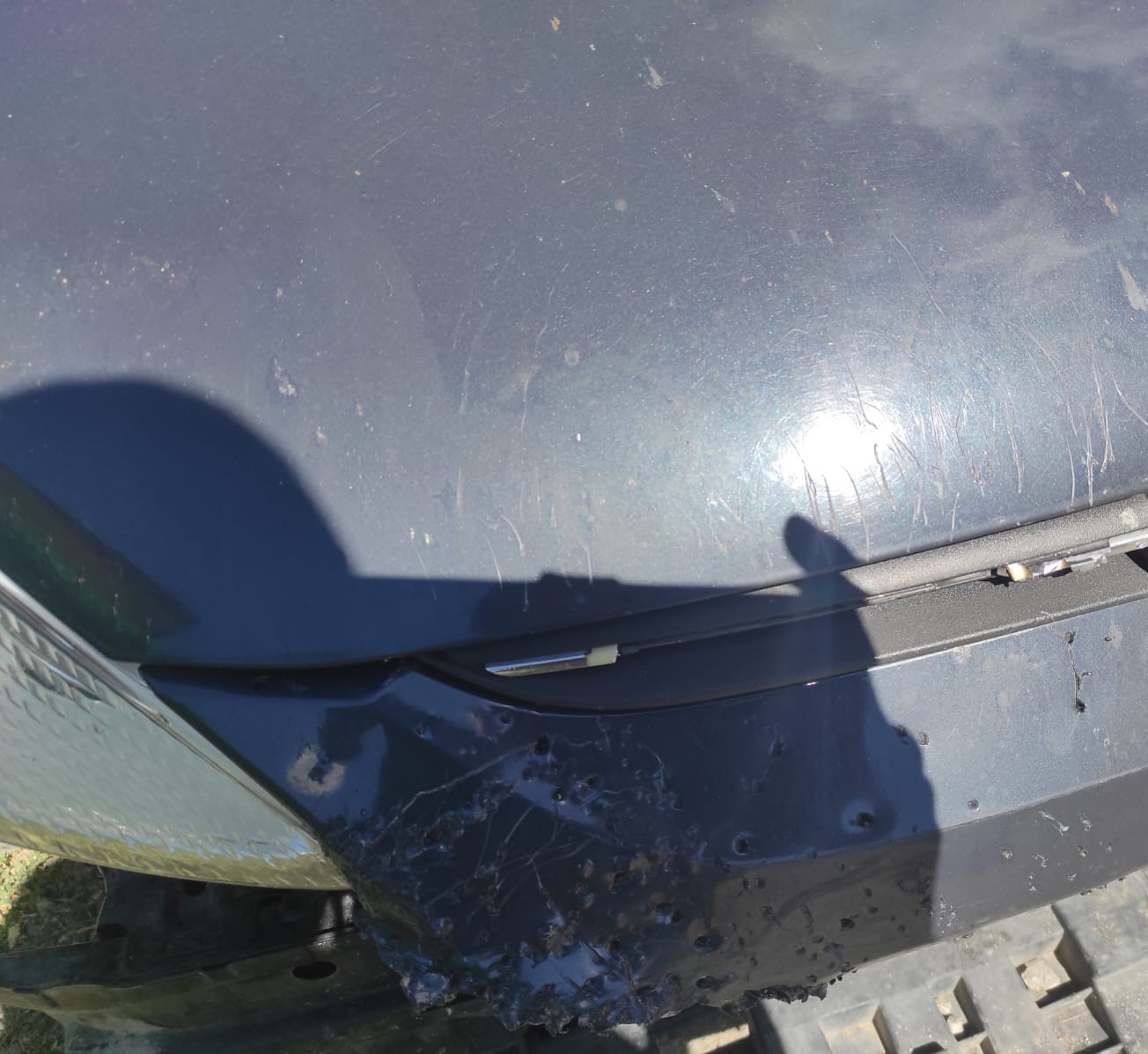sokak kopekleri ilcenin kabusu oldu otomobile 108 bin tllik zarar verdiler 1 shvEnw3W