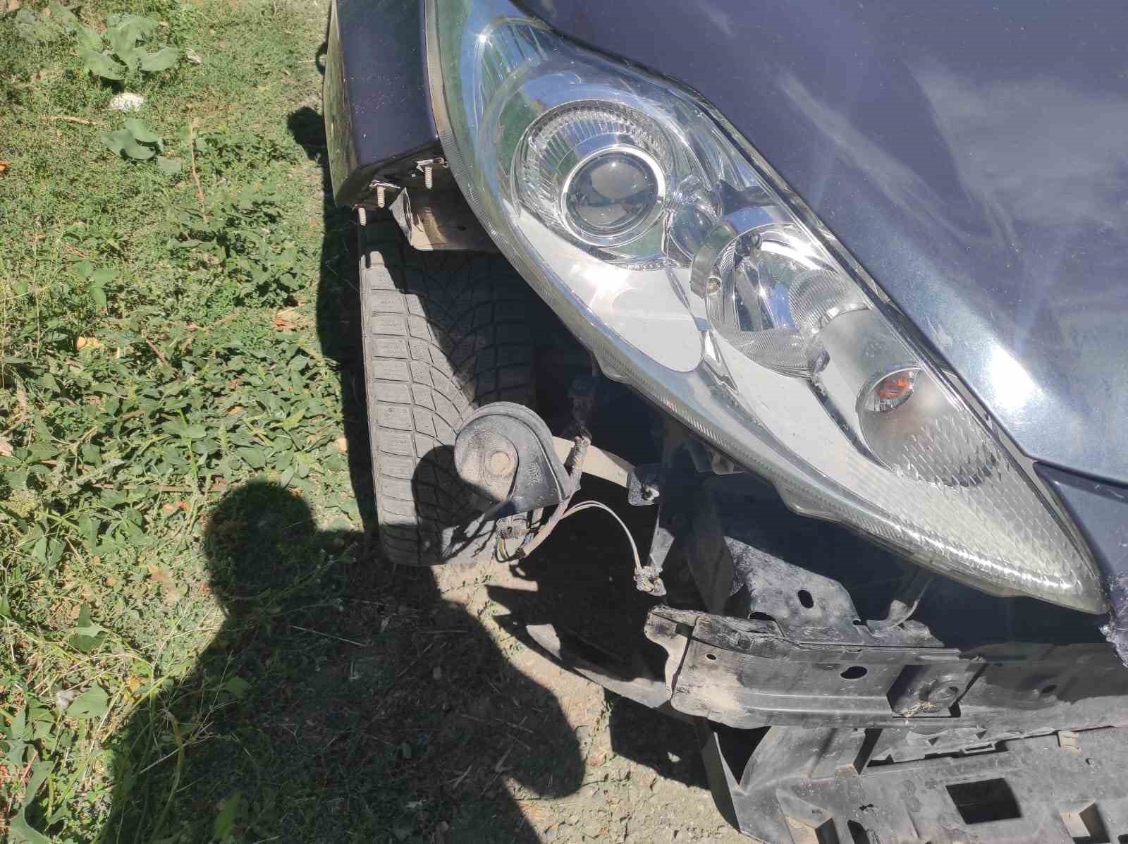 sokak kopekleri ilcenin kabusu oldu otomobile 108 bin tllik zarar verdiler 2 5Y42uPDK