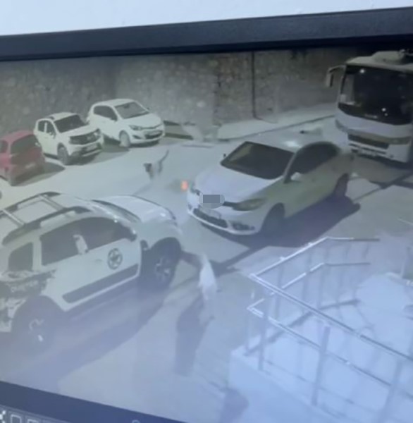 sokak kopekleri ilcenin kabusu oldu otomobile 108 bin tllik zarar verdiler 4 XDR2pyeJ