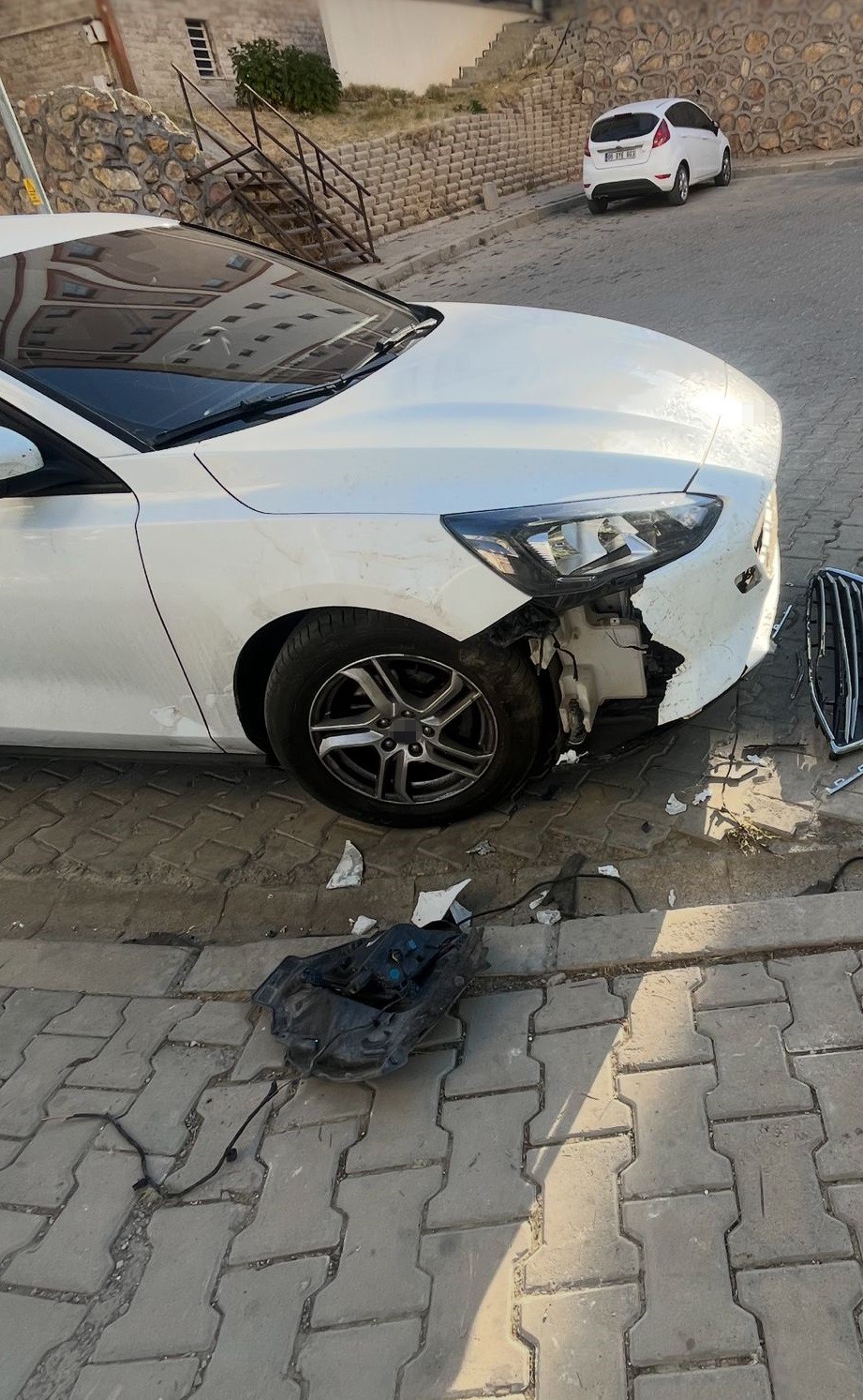 sokak kopekleri ilcenin kabusu oldu otomobile 108 bin tllik zarar verdiler 7 SkfNv6fz