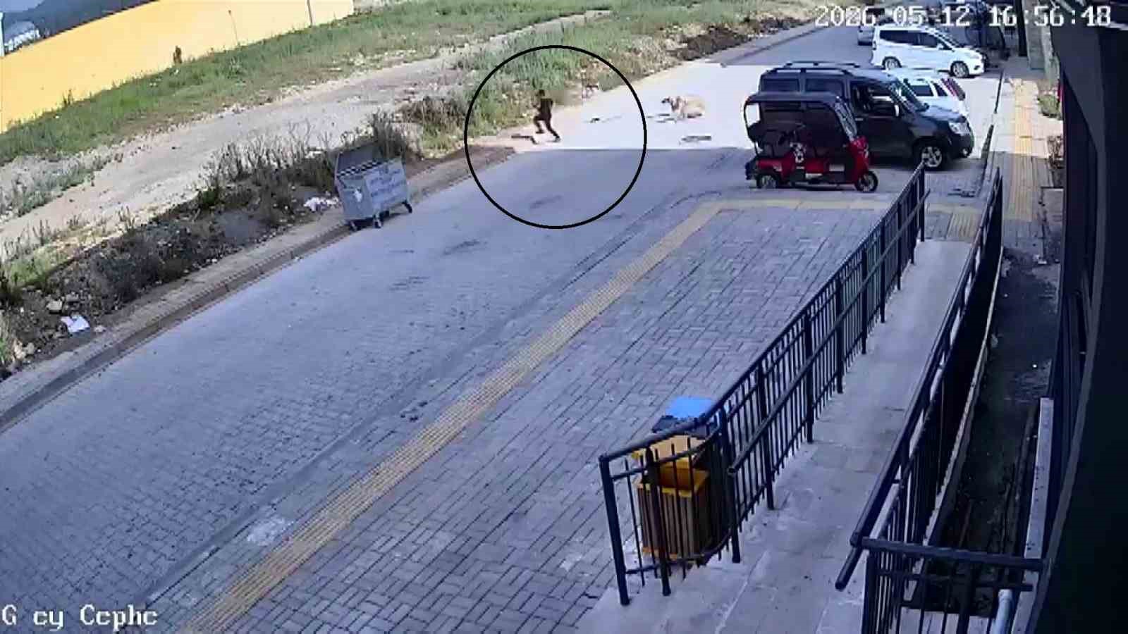 sokak kopeklerinin saldirdigi 7 yasindaki cocuk korku dolu anlar yasadi 0 iItvibvD