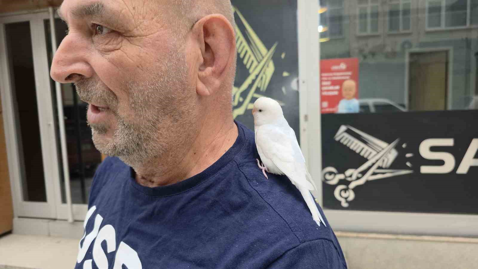 sokaklarda omzundaki kusuyla geziyor 0 tD7TanrZ