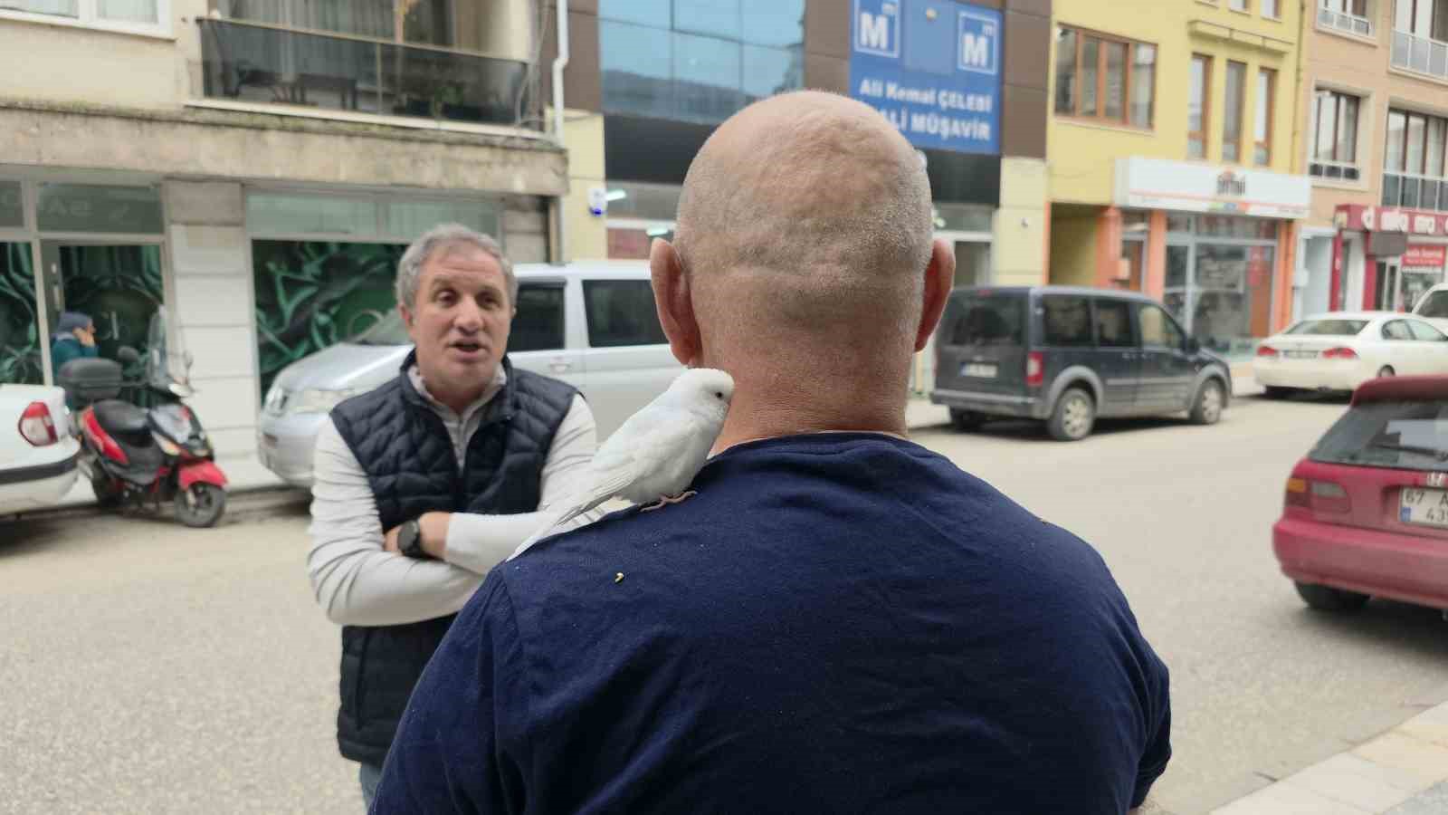 sokaklarda omzundaki kusuyla geziyor 2 f1itH7JS