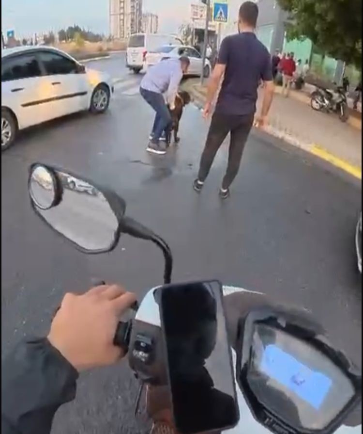 Sokakta ağızlıksız gezdirilen ’Rottweiler’ cinsi köpek dehşet saçtı... O anlar kamerada 5 sokakta agizliksiz gezdirilen rottweiler cinsi kopek dehset sacti o anlar kamerada 1 YflEjve5