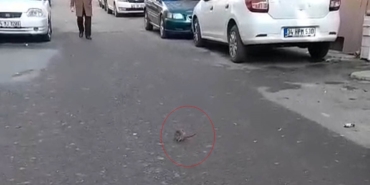 sokakta-fare-panigi-cevreyi-kotu-kokular-sardi-ElXZagHC.jpg