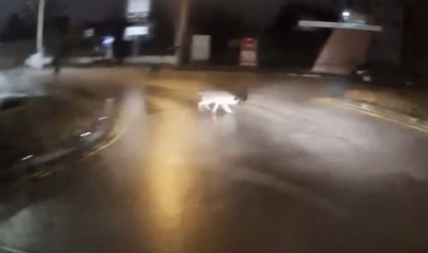 sokakta kopeklerin kovaladigi genci boyle kurtardi benim adim hidir elimden gelen budur 2 pVD3Y5MR