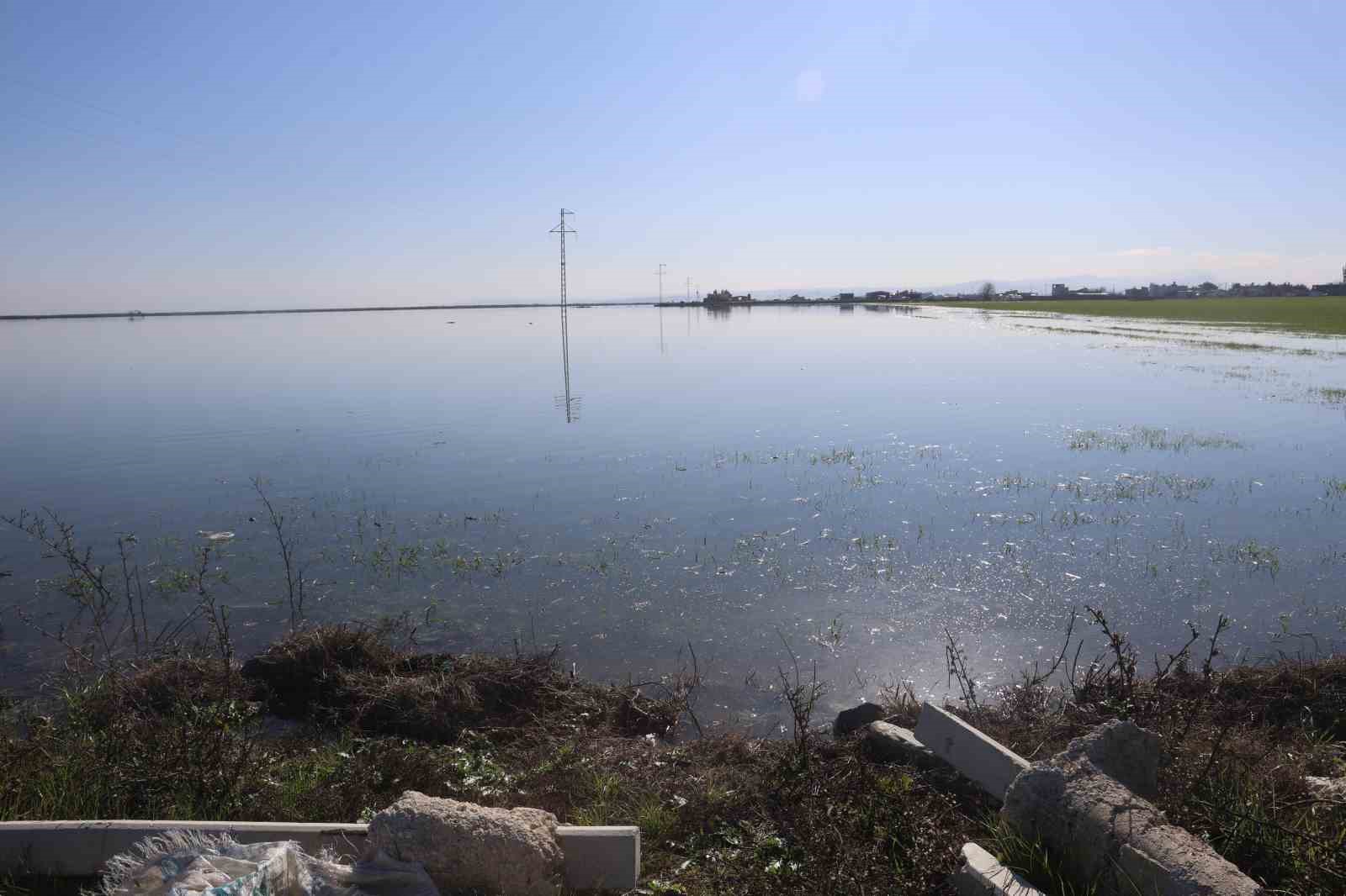 son 65 yilin en kurak yilini geride birakan hatayda etkili olan yagisla tarim arazileri ULaS59mh
