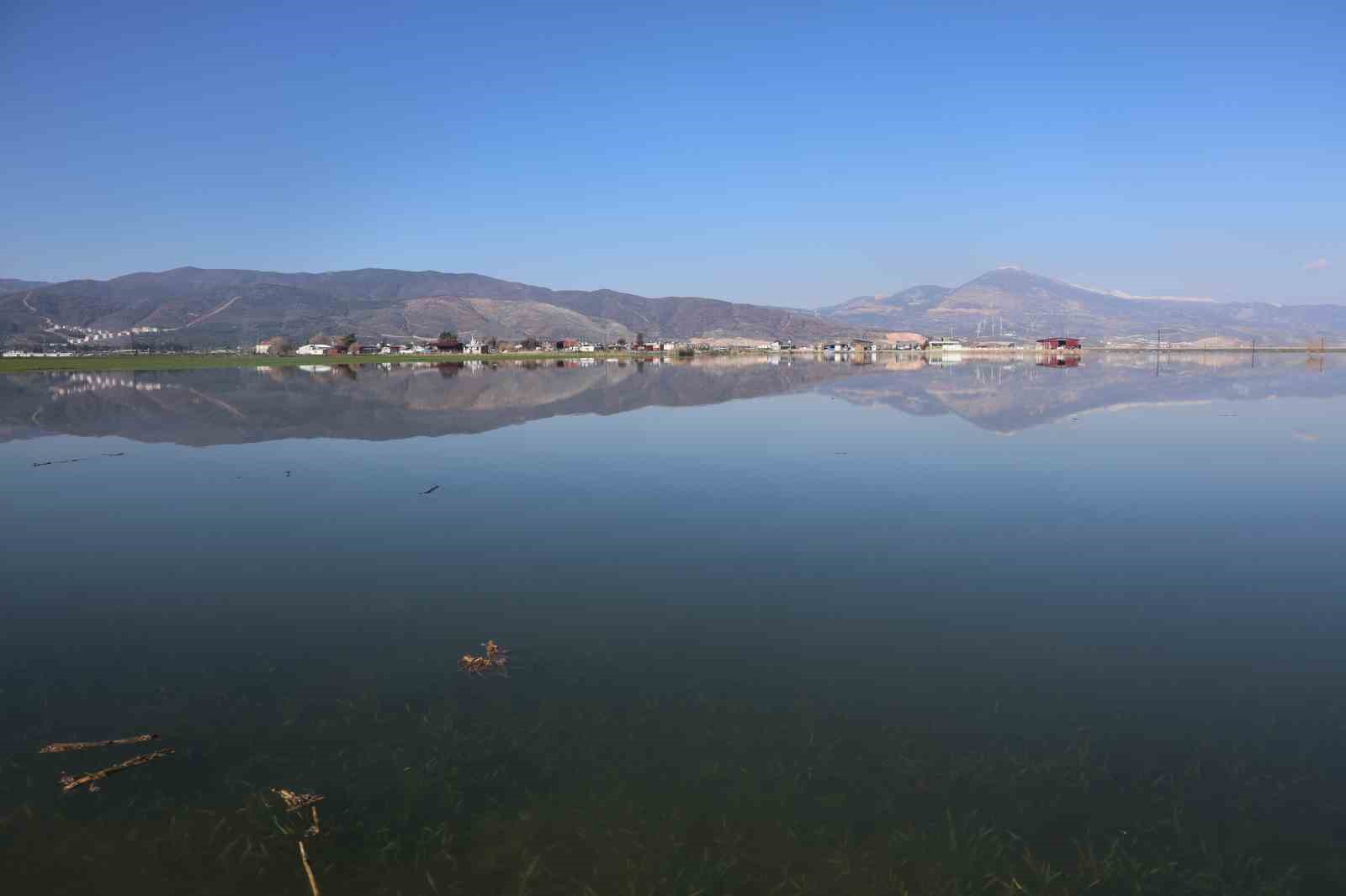 son 65 yilin en kurak yilini geride birakan hatayda etkili olan yagisla tarim arazileri s82D3WG9