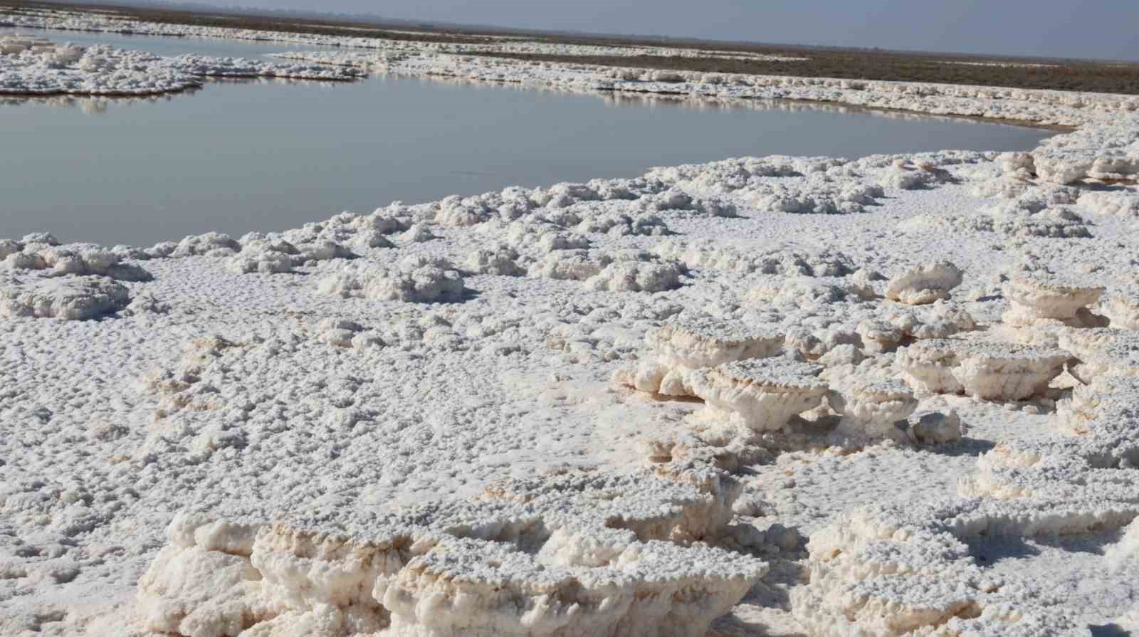 son 66 yilin en fazla yagmur yagisi tuz golune can suyu oldu 5