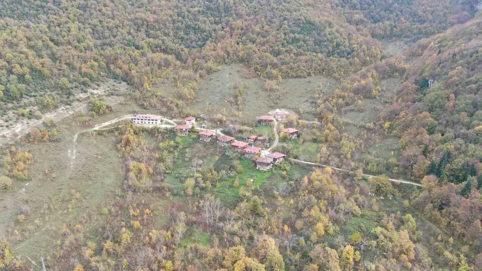 sonbahara burunen ormanlar ve cam kokulu evler mest ediyor 0 ZIwOe3fw