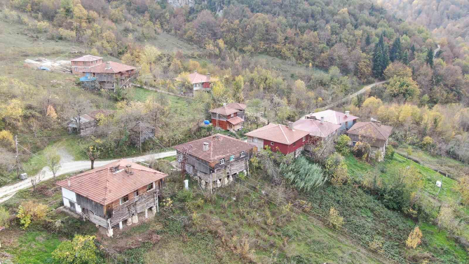 sonbahara burunen ormanlar ve cam kokulu evler mest ediyor 1 1ymYJ669