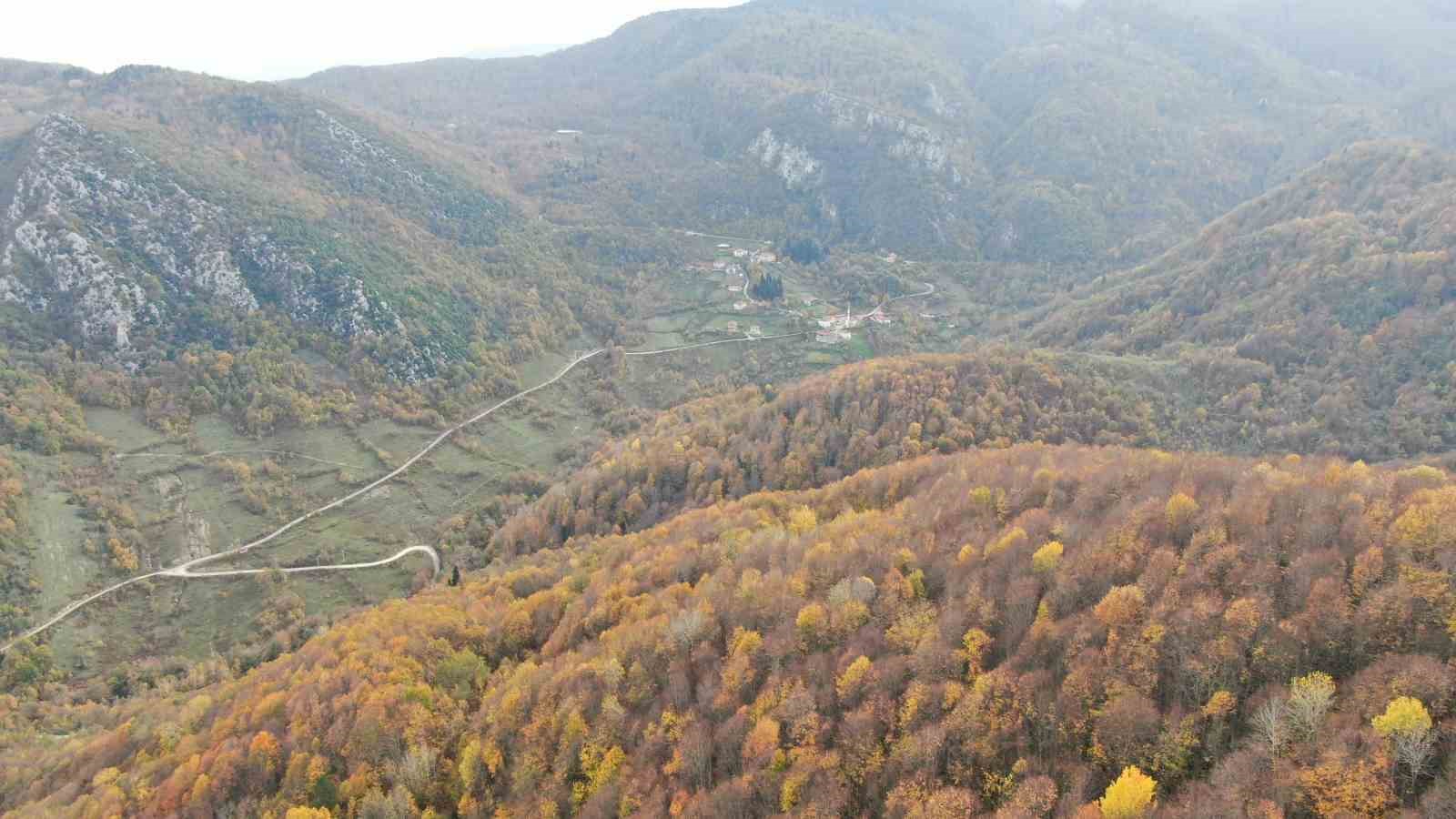 sonbahara burunen ormanlar ve cam kokulu evler mest ediyor 6 13GHrImG