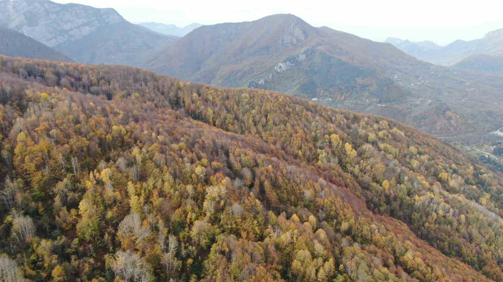 sonbahara burunen ormanlar ve cam kokulu evler mest ediyor 7 cEptlNwr