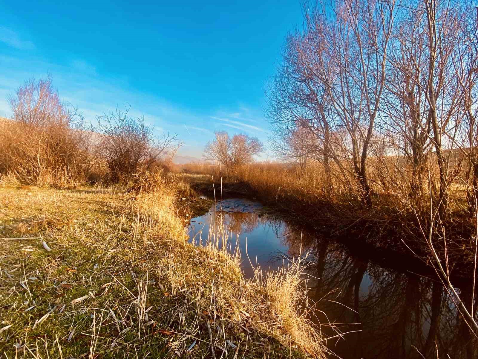 sonbaharda sararan yapraklar gorsel solen olusturdu 4 rwNVfGWc