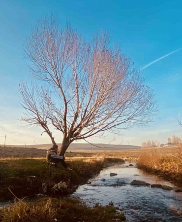 sonbaharda-sararan-yapraklar-gorsel-solen-olusturdu-d1uWKhRB.jpg