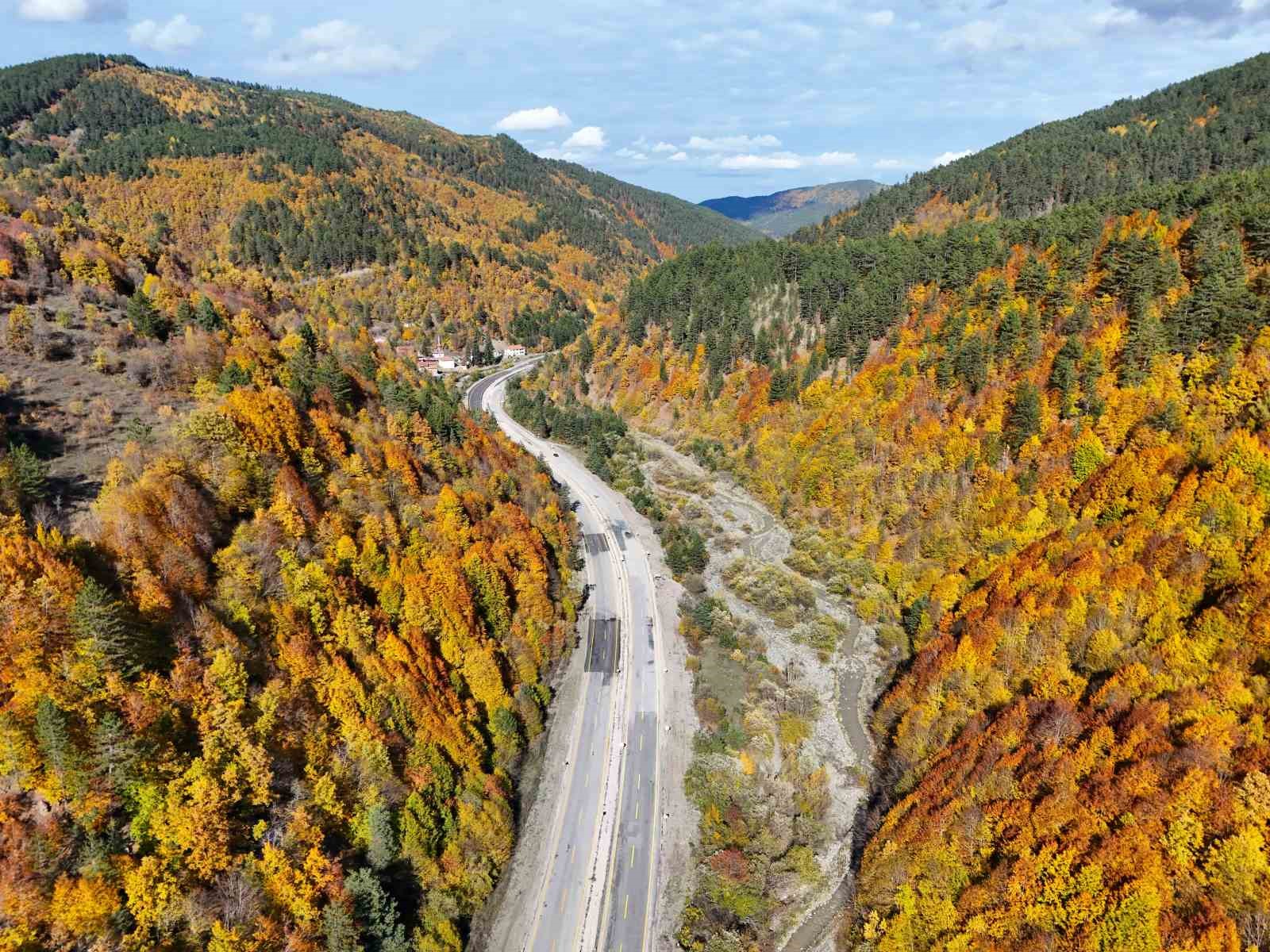 sonbaharla kastamonu ormanlarinin mest eden bulusmasi 1 GMAkSFlc