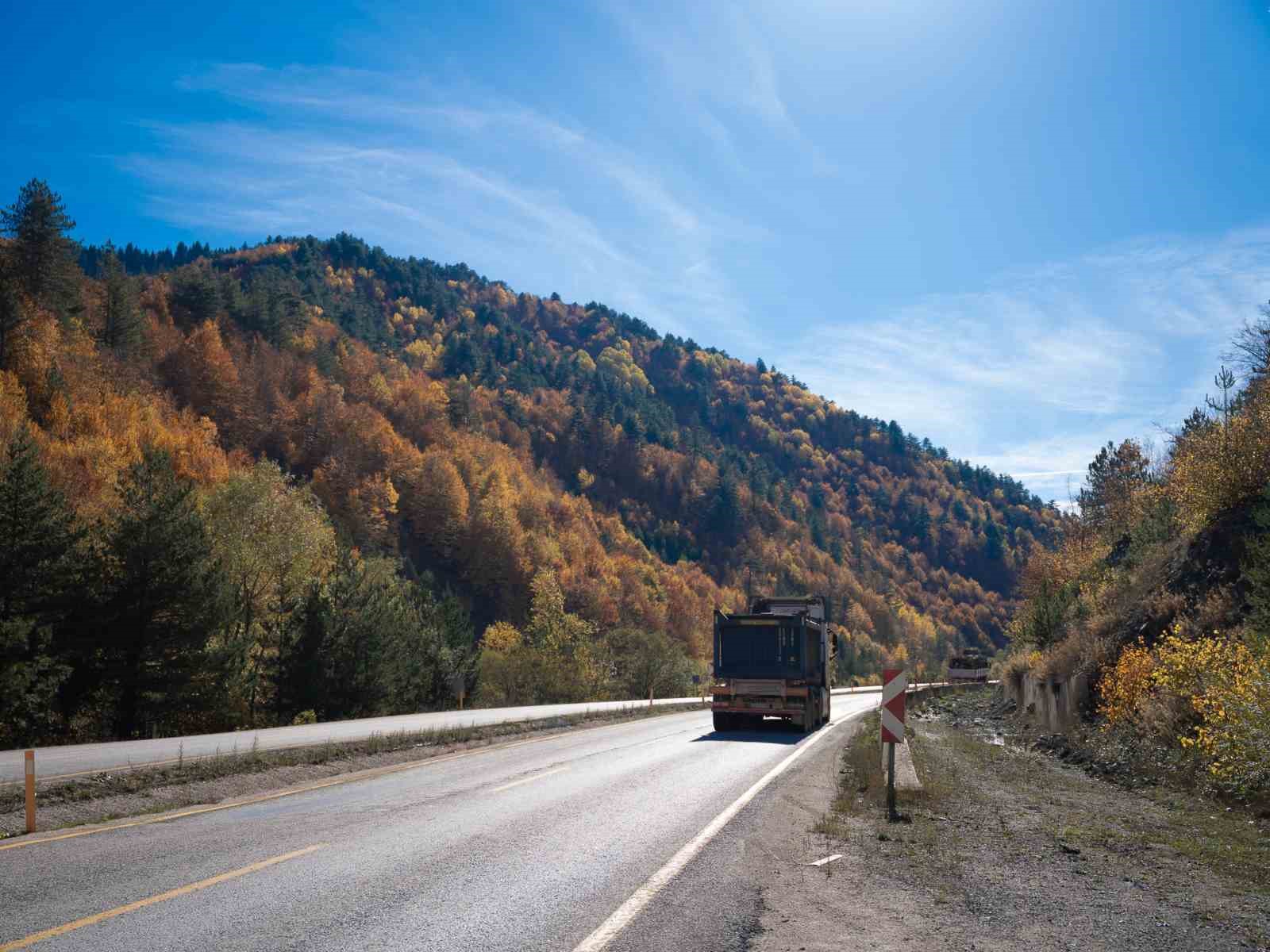 sonbaharla kastamonu ormanlarinin mest eden bulusmasi 12 i24kvIJF