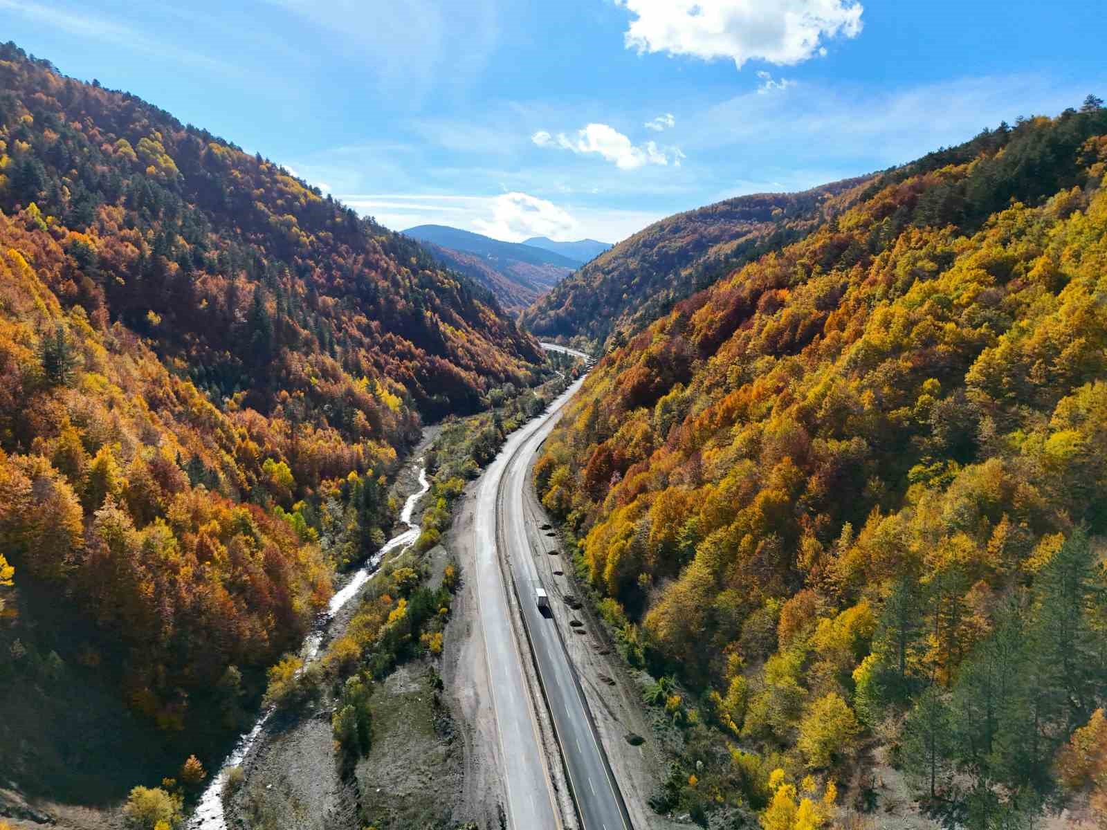 sonbaharla kastamonu ormanlarinin mest eden bulusmasi 8 rvwnc6k6