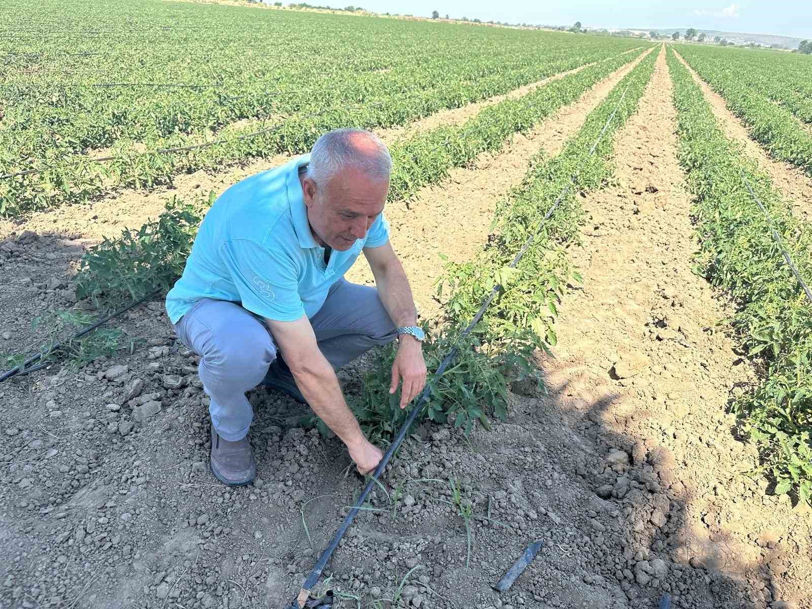 sozlesme yaptigi firma urunu almayinca 20 milyon lira zarar etti 0