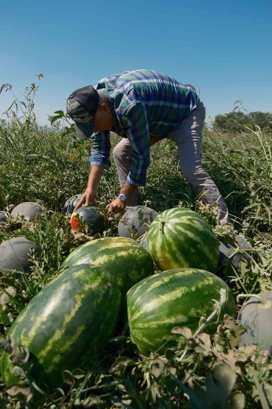 sozlesme yaptigi firma urunu almayinca 20 milyon lira zarar etti 4 48DyY7rq