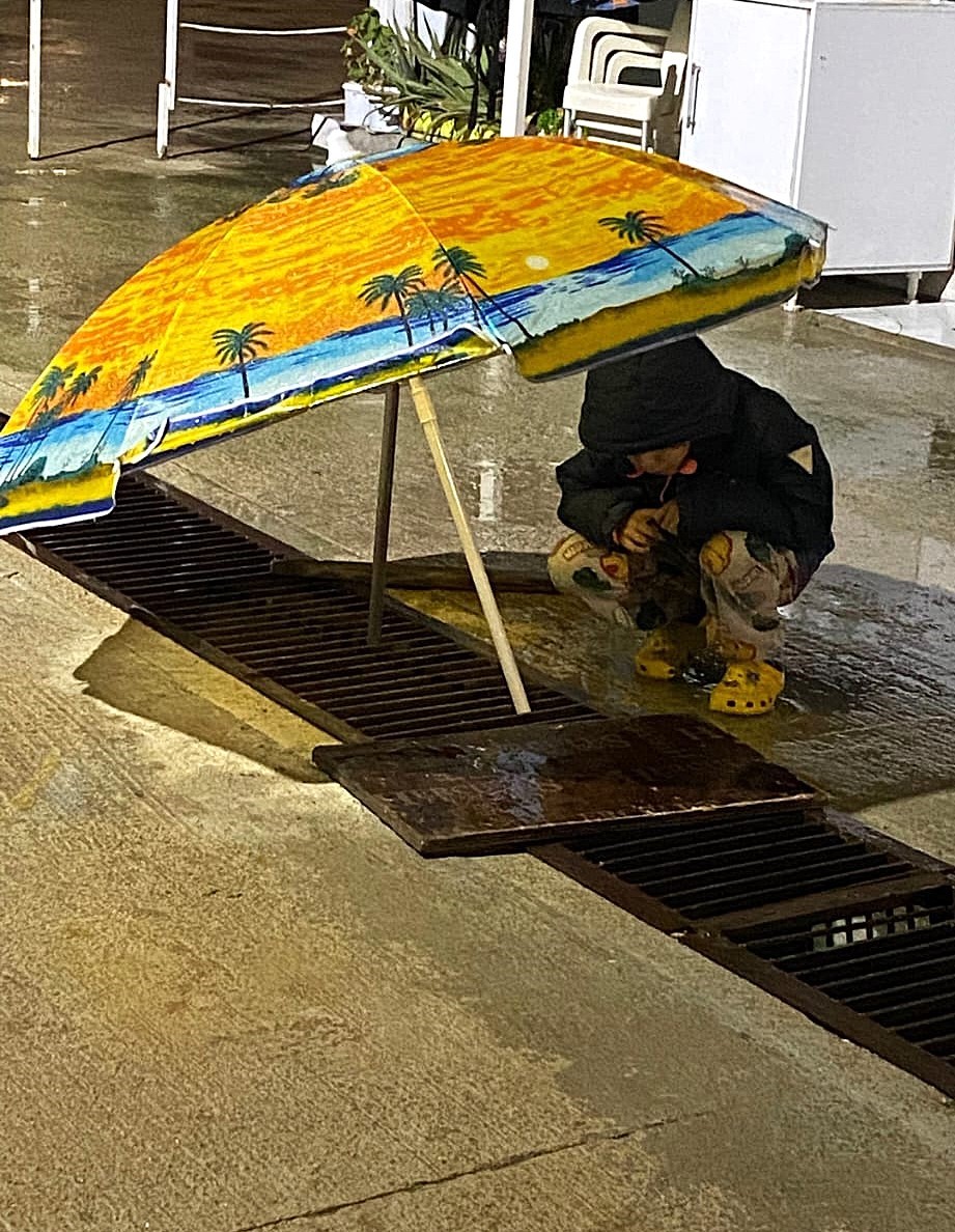 su kanalinda dogum yapan kedi ve 3 yavrusunun yeni yuvasi depremzede ailenin konteyneri oldu GPPmeI4Y