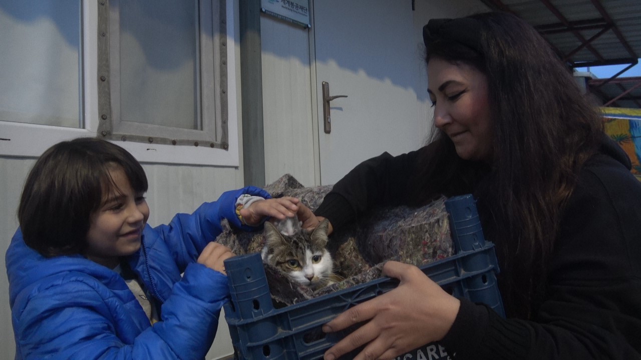 su kanalinda dogum yapan kedi ve 3 yavrusunun yeni yuvasi depremzede ailenin konteyneri oldu