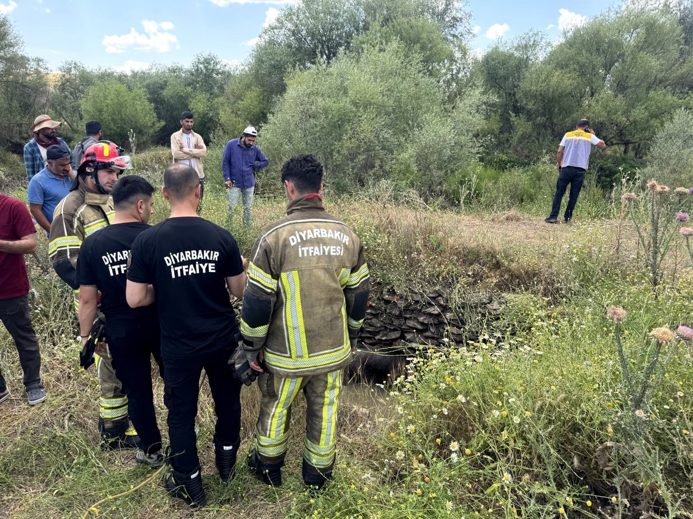 Su kuyusuna düşen yaban domuzu, itfaiye ekiplerince kurtarıldı 5 su kuyusuna dusen yaban domuzu itfaiye ekiplerince kurtarildi 1 AbSO3NSr