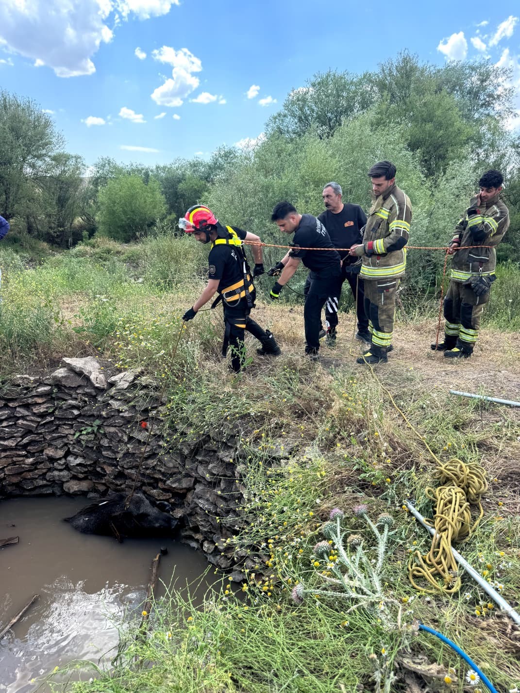 Su kuyusuna düşen yaban domuzu, itfaiye ekiplerince kurtarıldı 6 su kuyusuna dusen yaban domuzu itfaiye ekiplerince kurtarildi 2 QOzOeZAA