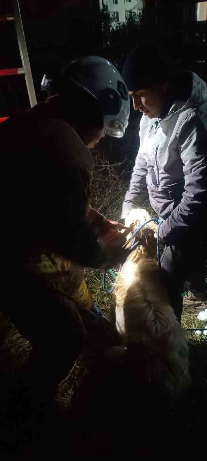 su kuyusunda mahsur kalan keciyi itfaiye kurtardi 3 Z2FX1nOa