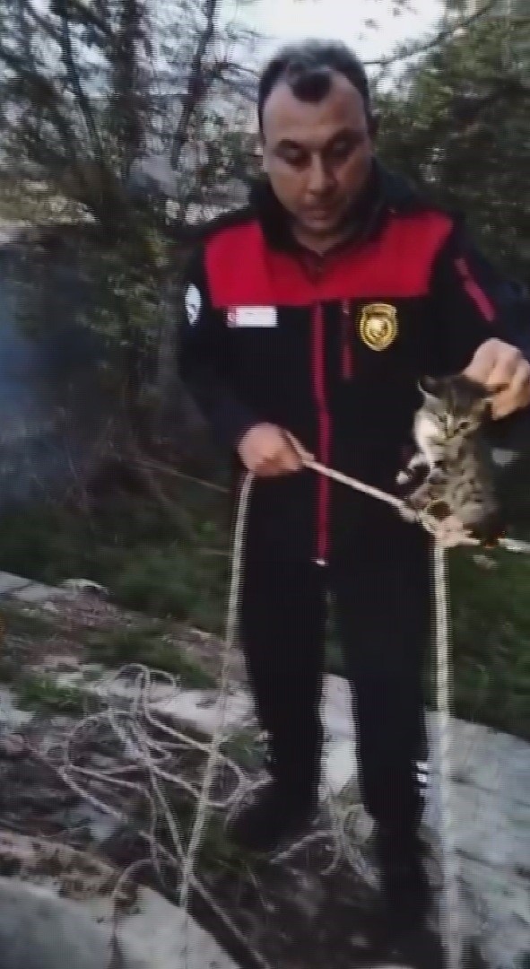 su kuyusunda mahsur kalan yavru kedi kurtarilarak annesine teslim edildi 2 bNSbLZdO