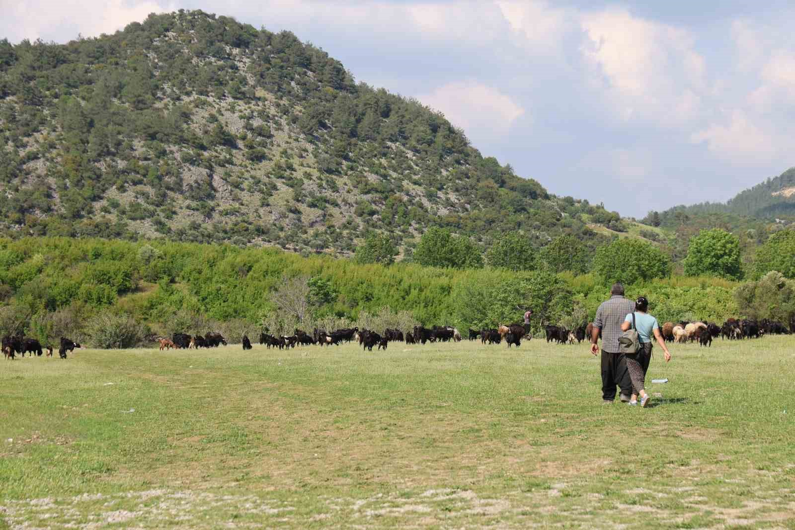 su seviyesi yuzde 7ye kadar dusen kozan baraji ihtisamina kavustu 4 Qi76hB7I