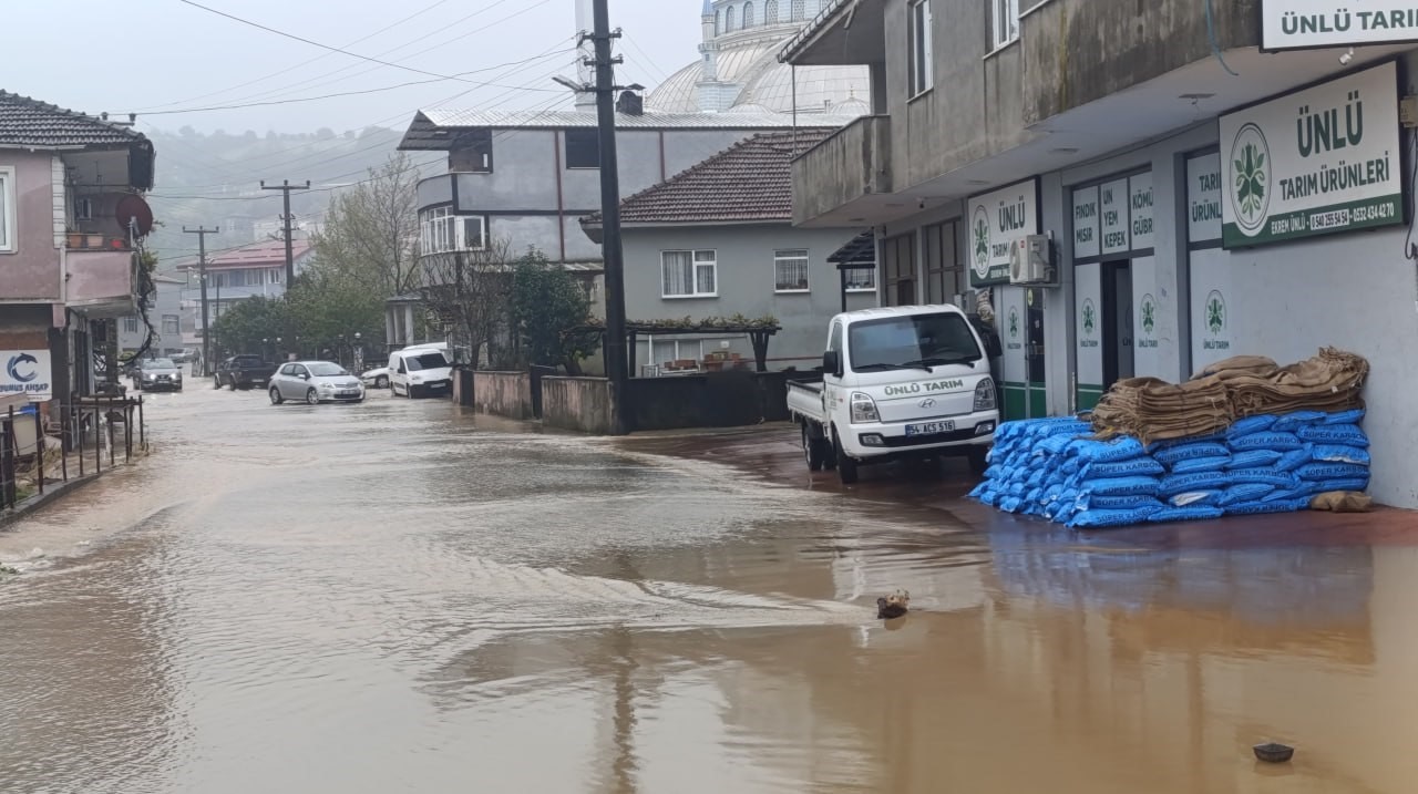 su taskini mahalleyi gole cevirdi tarim arazileri ev ve is yerleri sular altinda kaldi iMIhf5Rl