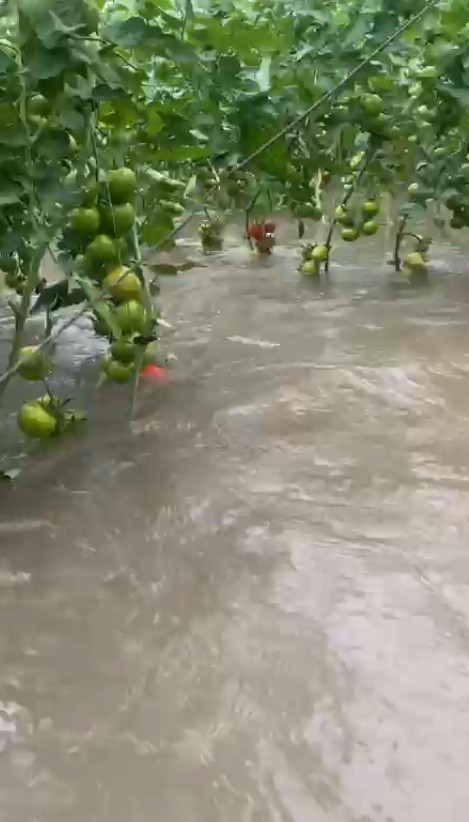 suda mahsur kalan aractaki 2 kisiyi itfaiye ekipleri kurtardi 1 QzOKVaLP