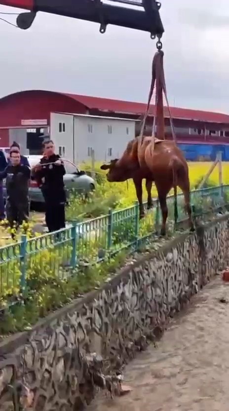 sulama kanalina dusen inegi itfaiye kurtardi 1