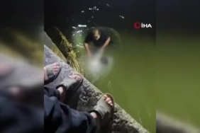 Tonlarca saman balyası yandı 1 thumbnail